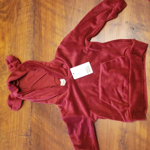 Velour Hoodie Sweatsuit 2 Pcs - Picture 3 of 4